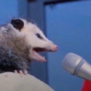 Profile photo of Alex Folck (He/Him)